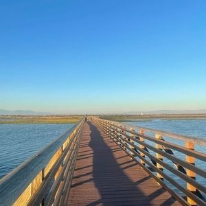 Meet your Posher, Rosanne